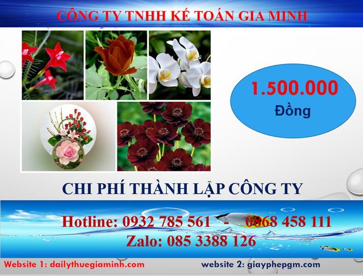 Chi phí thành lập công ty bảo vệ tại Thành phố Hà Nội