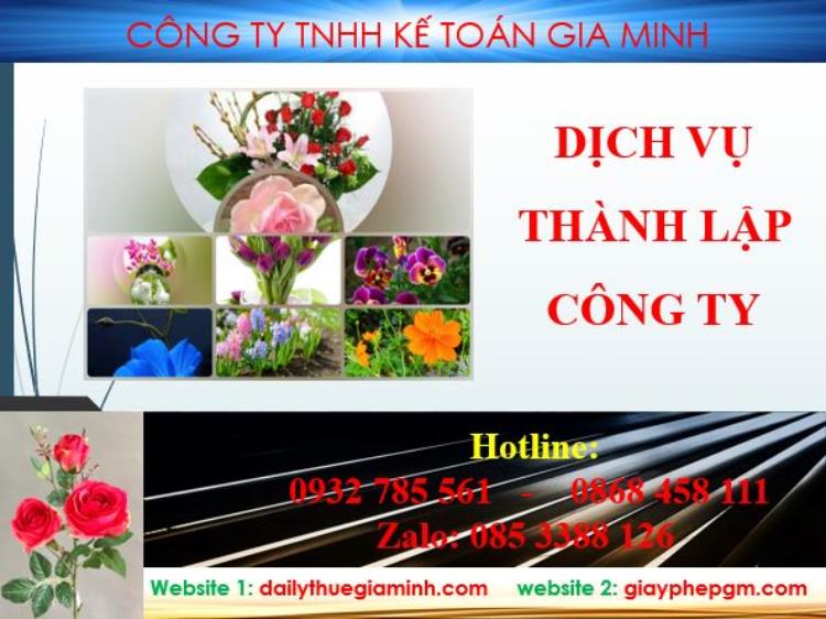 Thành lập công ty Huyện Phú Giáo