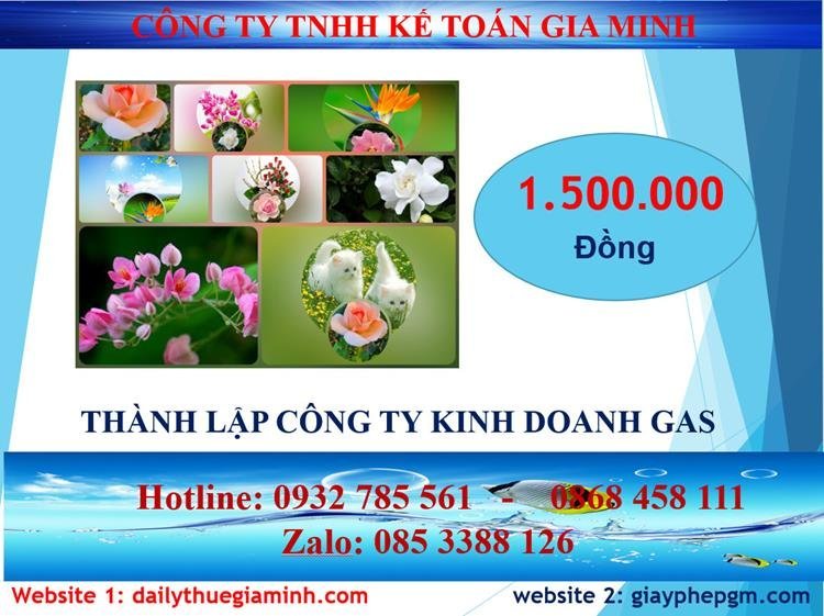 Chi phí thành lập công ty kinh doanh gas tại TP Hồ Chí Minh