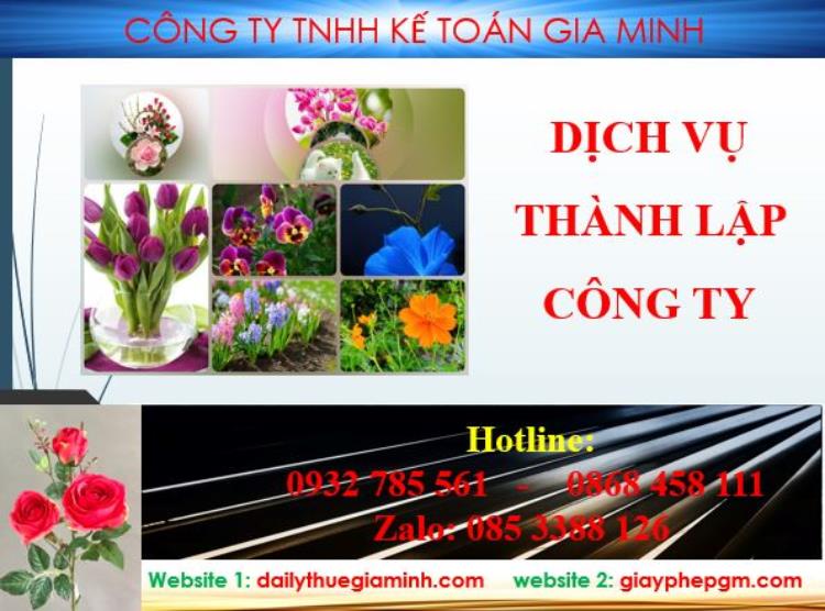 Thành lập công ty Quận Tân Phú