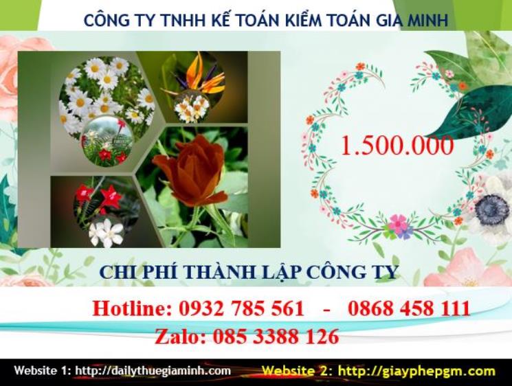 Phí dịch vụ thành lập công ty Bình Định