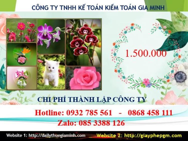 Phí dịch vụ thành lập công ty Đà Nẵng