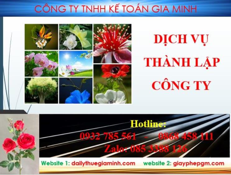 Thành lập công ty Nam Định