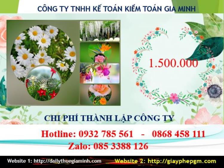 Phí dịch vụ thành lập công ty tại Ninh Bình