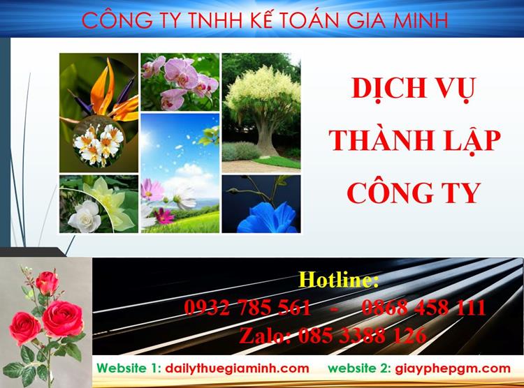 Thành lập công ty tại Ninh Bình