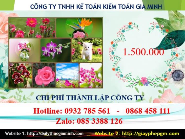 Phí dịch vụ thành lập công ty Ninh Thuận