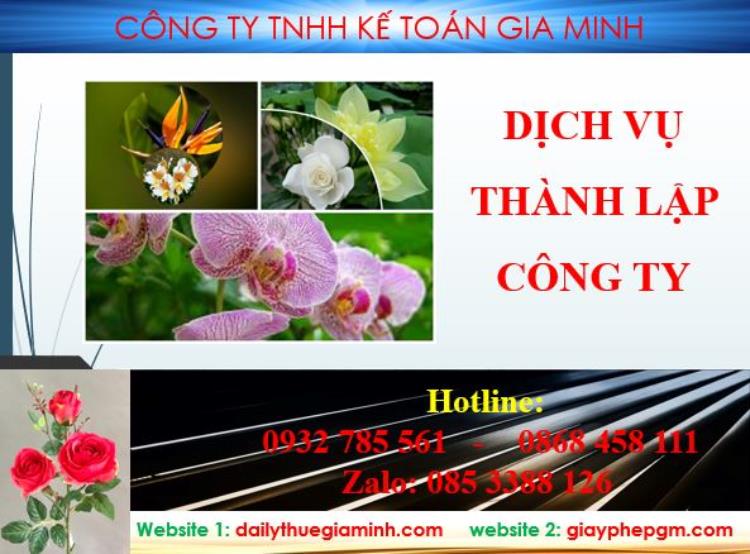 Thành lập công ty Tuyên Quang