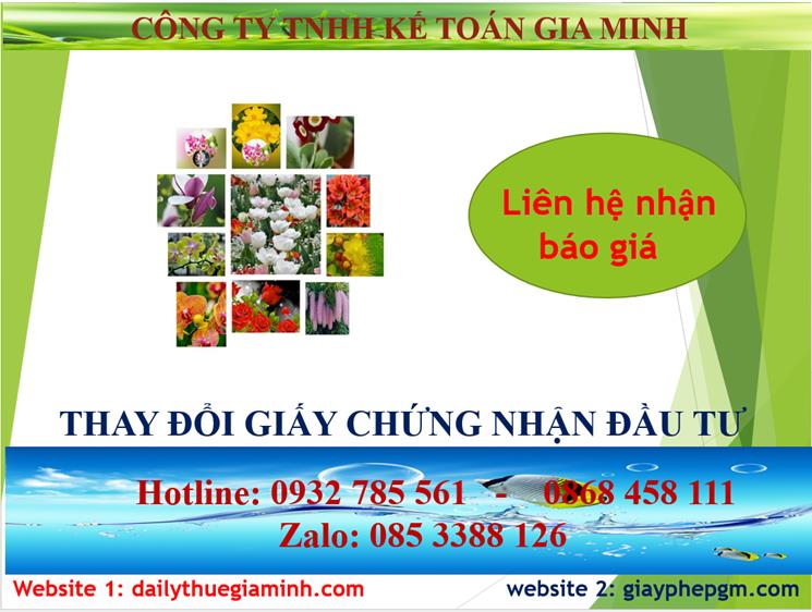 Chi phí dịch vụ thay đổi giấy chứng nhận đầu tư tại Quận Long Biên