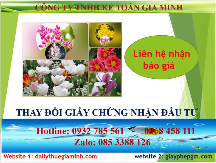  Chi phí dịch vụ thay đổi giấy chứng nhận đầu tư tại Tuyên Quang