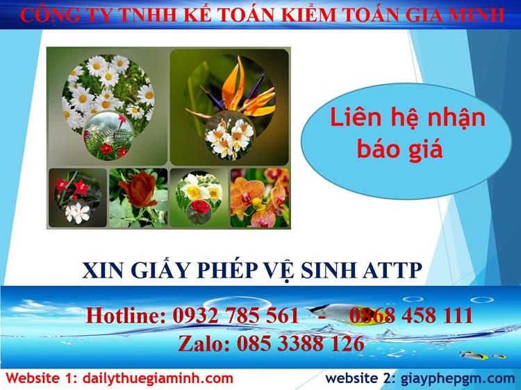 Chi phí xin giấy phép vệ sinh an toàn thực phẩm tại Bình Định