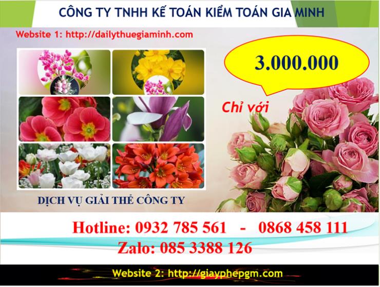 Chi phí giải thể doanh nghiệp tại Bắc Giang