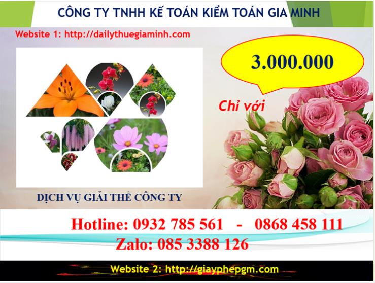 Chi phí giải thể doanh nghiệp tại Bắc Ninh