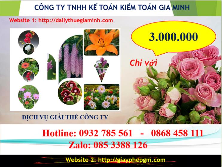Chi phí giải thể doanh nghiệp tại Bình Định