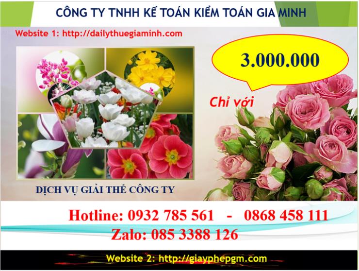 Chi phí giải thể doanh nghiệp tại Bình Phước