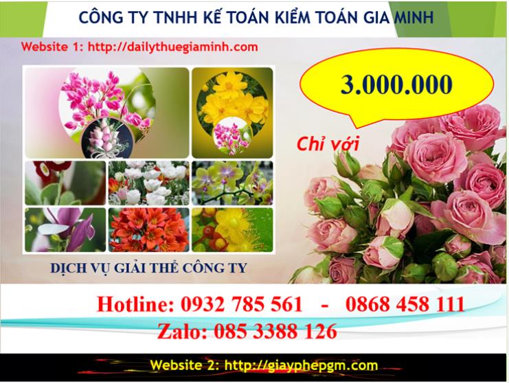 Chi phí giải thể doanh nghiệp tại Bình Thuận