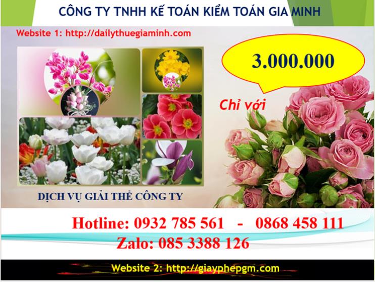 Chi phí giải thể doanh nghiệp tại Đà Nẵng