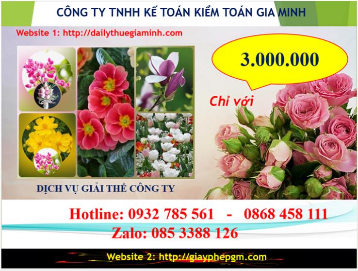 Chi phí giải thể doanh nghiệp tại Đắk Lắk