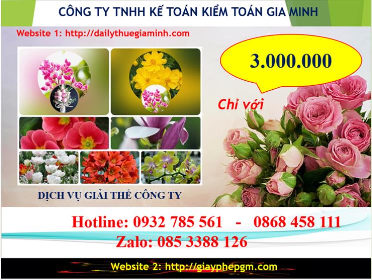Chi phí giải thể doanh nghiệp tại Hà Giang