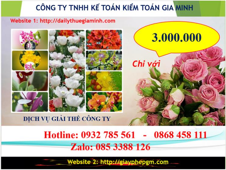 Chi phí giải thể doanh nghiệp tại Huyện Gia Lâm