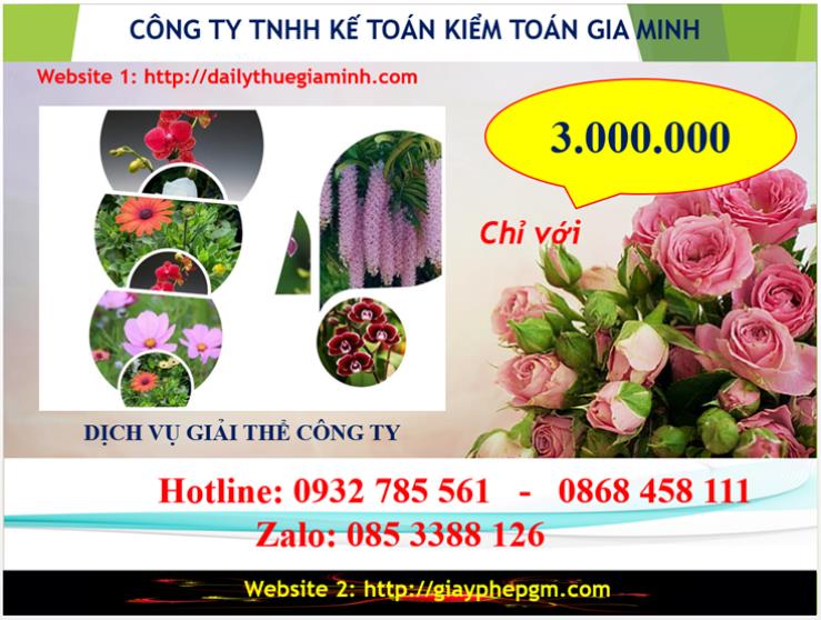 Chi phí dịch vụ giải thể công ty Huyện Thanh Oai