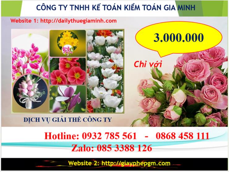 Chi phí dịch vụ giải thể công ty Huyện Thới Lai