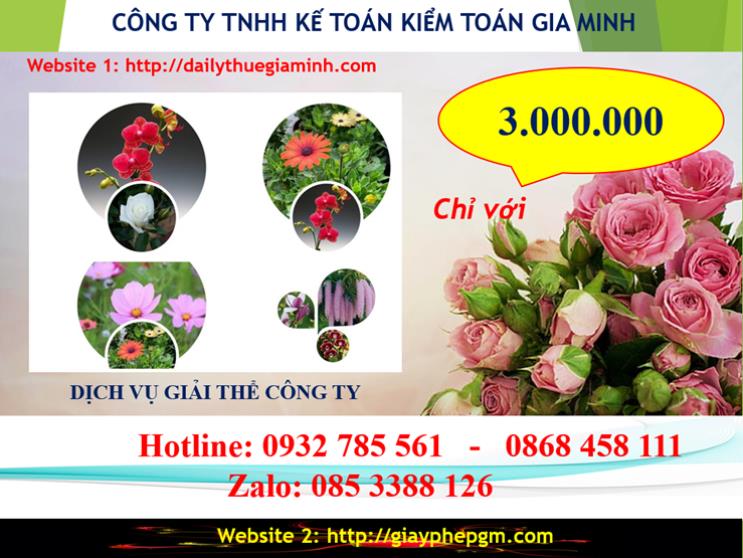 Chi phí giải thể doanh nghiệp tại Khánh Hòa