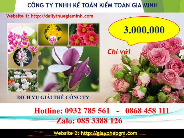 Chi phí giải thể doanh nghiệp tại Kiên Giang