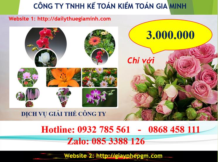 Chi phí giải thể doanh nghiệp tại Lâm Đồng