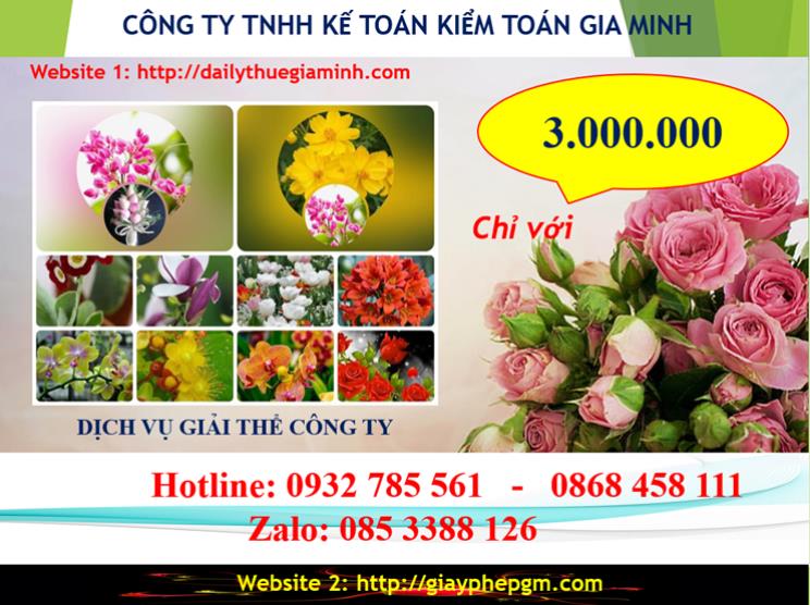 Chi phí giải thể doanh nghiệp tại Lạng Sơn