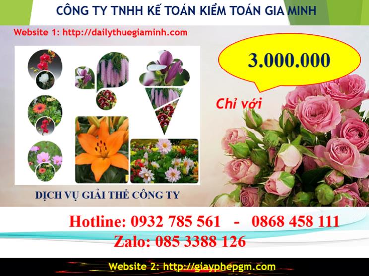 Chi phí giải thể doanh nghiệp tại Nam Định