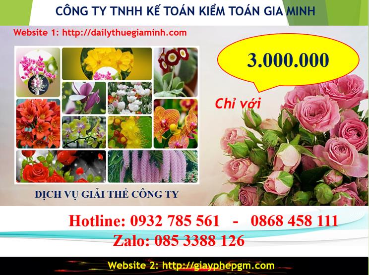 Chi phí giải thể doanh nghiệp tại Nghệ An