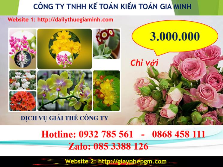 Chi phí giải thể doanh nghiệp tại Ninh Bình