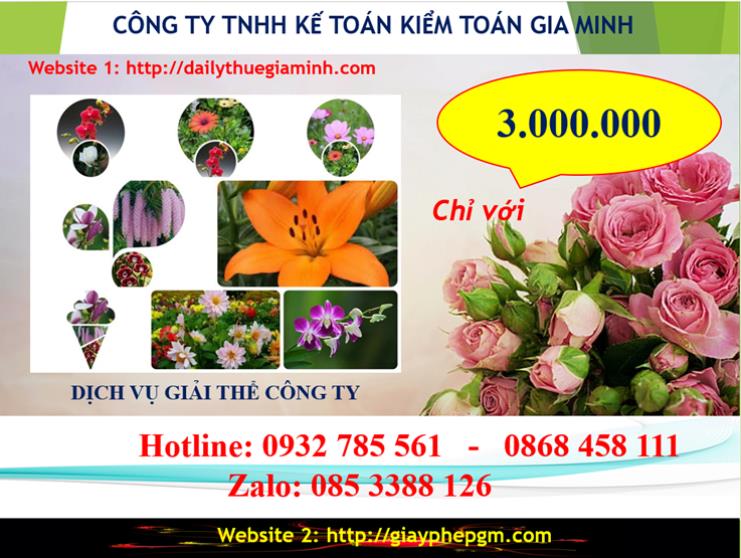 Chi phí giải thể doanh nghiệp tại Phú Yên