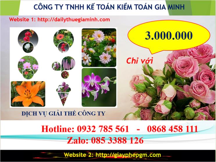 Chi phí dịch vụ giải thể công ty Quận Bình Tân