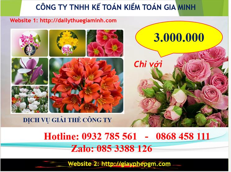 Chi phí dịch vụ giải thể công ty Quận Long Biên