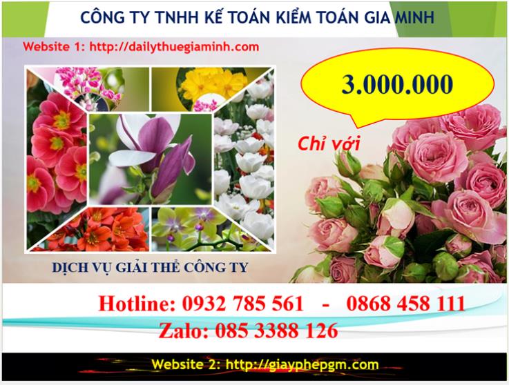Chi phí dịch vụ giải thể công ty Quận Ninh Kiều