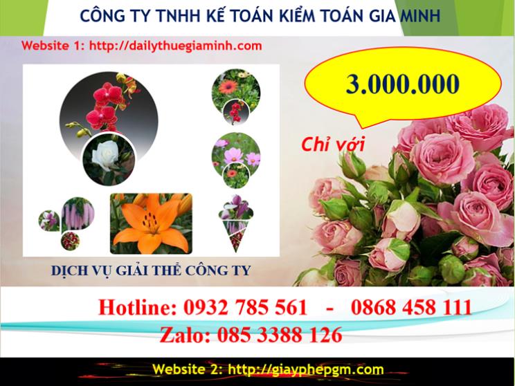 Chi phí dịch vụ giải thể công ty Quận Phú Nhuận