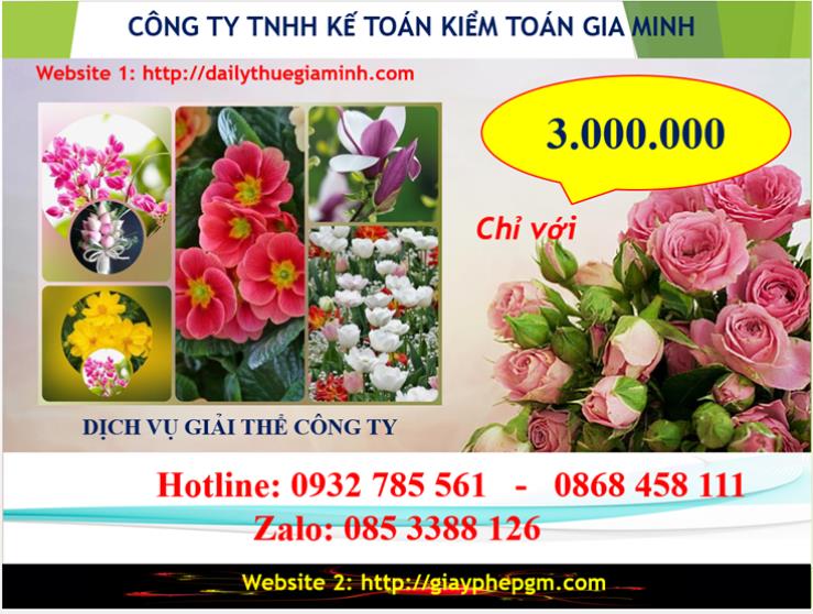 Chi phí dịch vụ giải thể công ty Quận Thanh Xuân