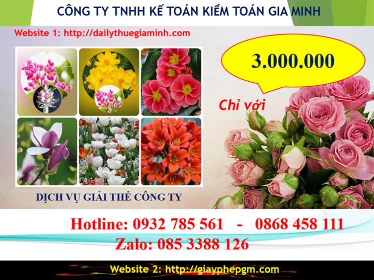 Chi phí giải thể doanh nghiệp tại Sơn La