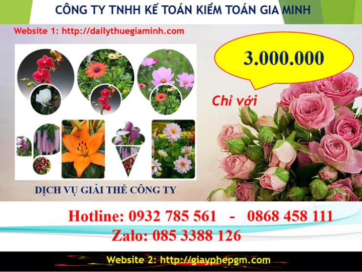 Chi phí giải thể doanh nghiệp tại Thái Bình