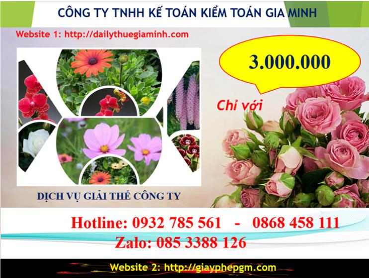 Chi phí dịch vụ giải thể công ty TP Hồ Chí Minh