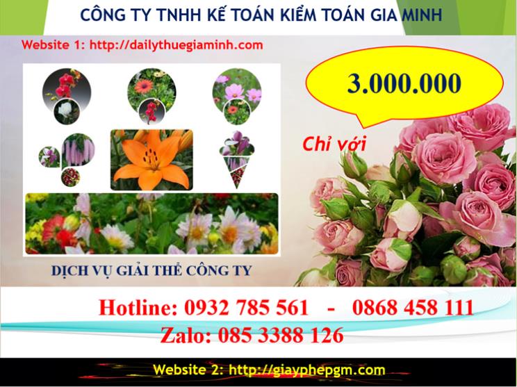 Chi phí giải thể doanh nghiệp tại Tiền Giang