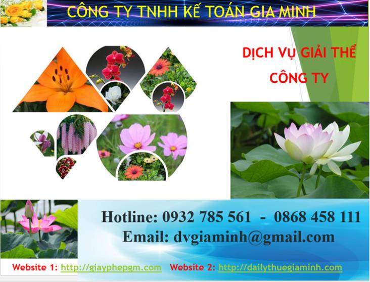 Dịch vụ giải thể công ty Bắc Ninh