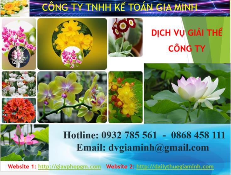 Dịch vụ giải thể công ty Ninh Thuận