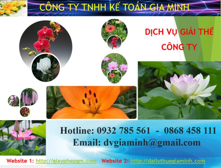 Dịch vụ giải thể công ty Quận Ninh Kiều
