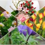 Xin giấy phép kinh doanh khám chữa bệnh tại TPHCM Muốn xin giấy phép kinh doanh khám chữa bệnh tại TPHCM