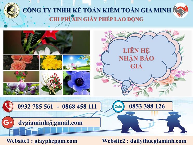 Chi phí xin giấy phép lao động tại Huyện Phong Điền