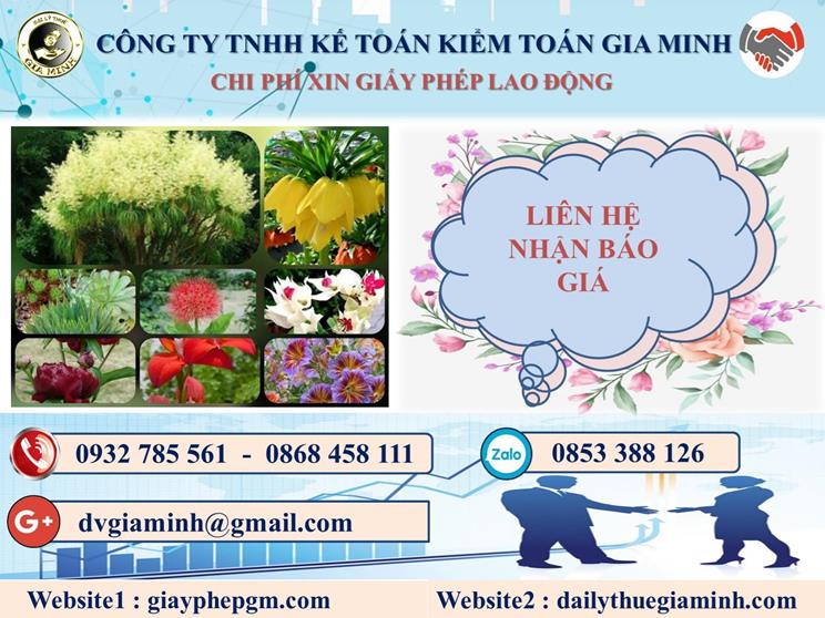 Chi phí xin giấy phép lao động tại Quận Long Biên