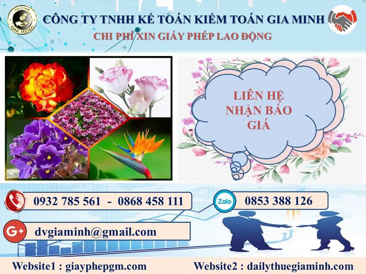 Chi phí xin giấy phép lao động tại Tuyên Quang