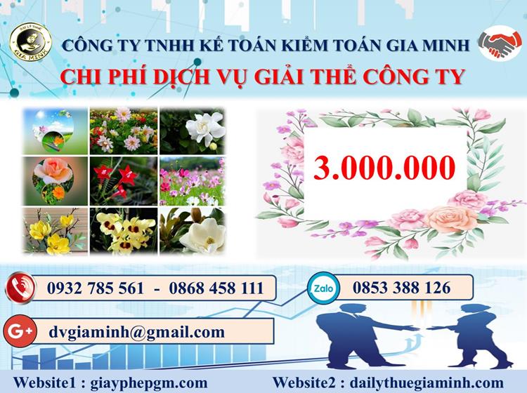  Chi phí dịch vụ giải thể công ty trọn gói ở Bình Định